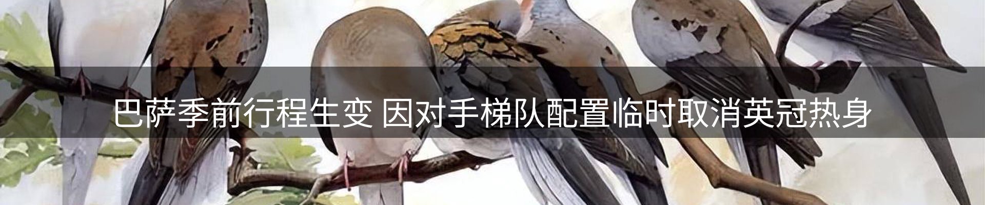 内页banner