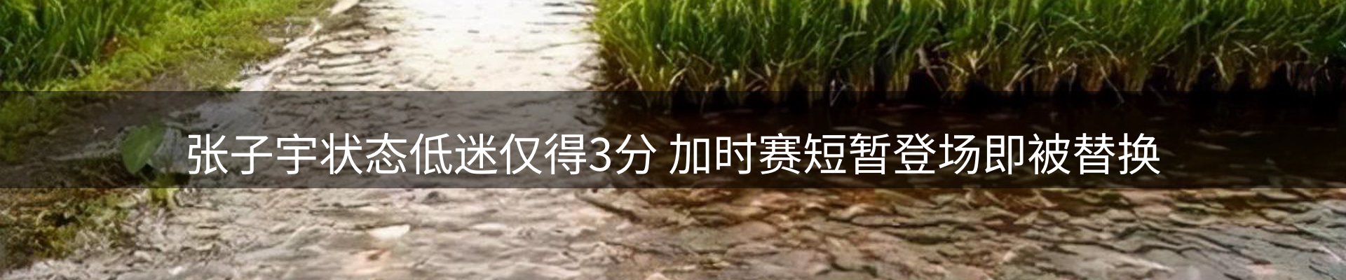 内页banner