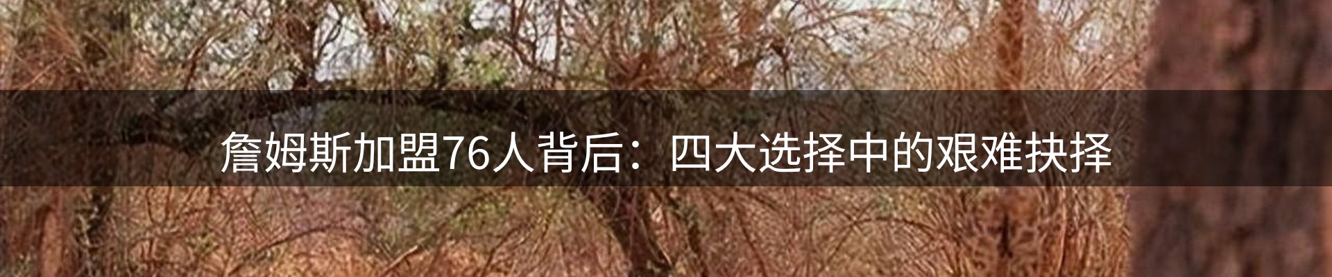 内页banner