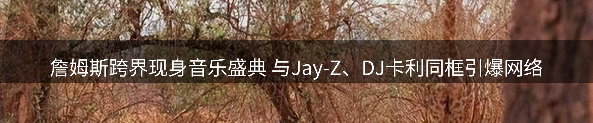内页banner